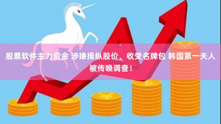 股票软件主力资金 涉嫌操纵股价、收受名牌包 韩国第一夫人被传唤调查！