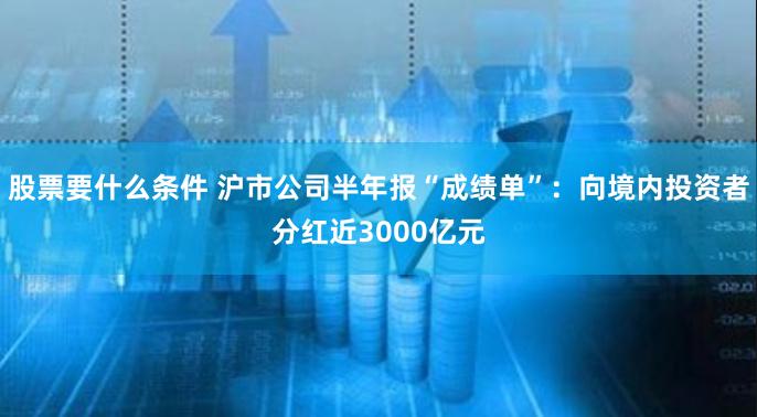 股票要什么条件 沪市公司半年报“成绩单”：向境内投资者分红近3000亿元