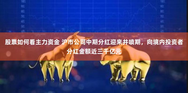 股票如何看主力资金 沪市公司中期分红迎来井喷期，向境内投资者分红金额近三千亿元