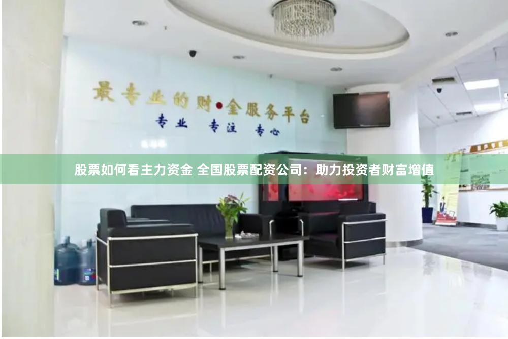 股票如何看主力资金 全国股票配资公司：助力投资者财富增值